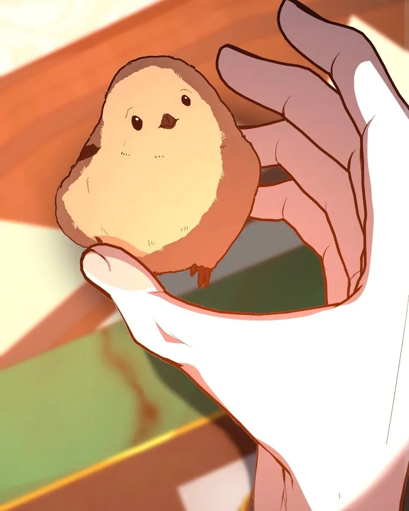 46529472 800 1000 31806